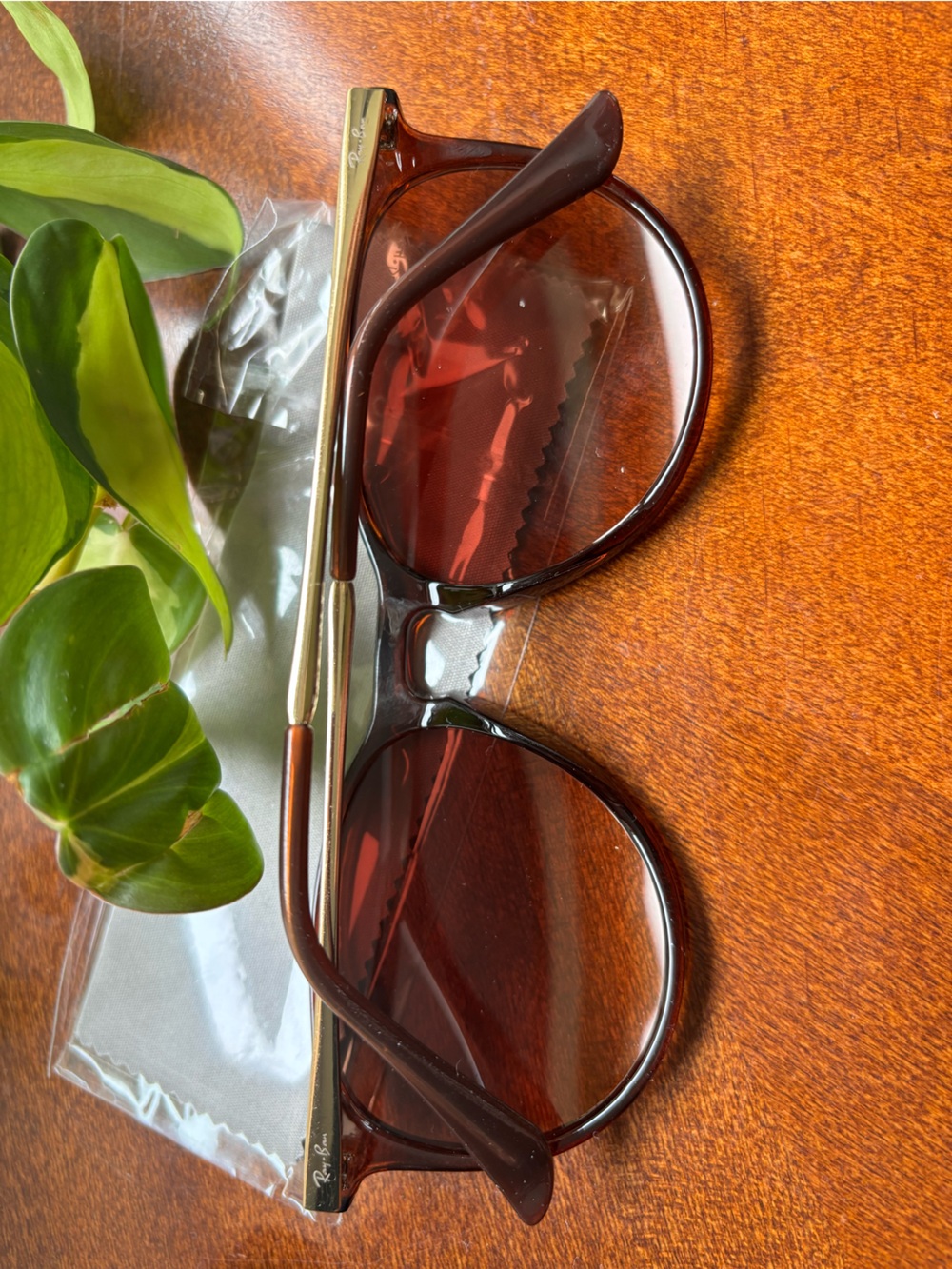 Ray-Ban Erika Classic Women’s Sunglasses - Picture 5 of 6
